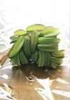  buy 2 Get 1 Free  20  Salvinia Molesta - Live Aquarium Or Pond Plant