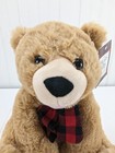 Fao Schwarz Brown Bear Plush 11  Stuffed Animal St Jude Gordmans 2019 Tags