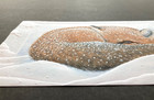 one  Fox Christmas Holiday Card Shane Dimmick Pumpernickel Press Large Gorgeous