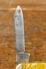 Vintage Winchester Two Different Color Grip Celluloid Blade Pocket Knife