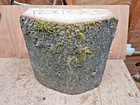 Live Edge Tree Of Empress Wood Turning Bowl Blank Paulownia Tomentosa 12 X 5