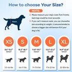 Disposable Dog Diapers Absorbent Soft Puppy Doggie Diapers For Female Dogs Wi   