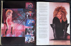 Tina Turner Break Every Rule World Tour Souvenir Playbill 1987-88 Photos Essays