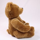 Vintage Rare Hard Rock Cafe Herrington s Bear Club 9  Inch Plush Teddy Bear 2000