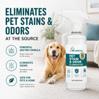 Pet Stain   Odor Remover For Dogs   Cats  Bio-enzyme Cleaner 32oz   For Urine  V