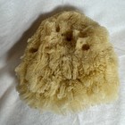 Large Natural Sea Sponge Artist Craft Tool Great Imprints Beach House Decor 5 5   