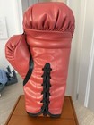 Autographed signed Mike Tyson Red Everlast Boxing Glove Holo Fiterman Authentic