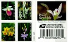 20 Usps Wild Orchid Stamps Usa Forever Never Used Genuine Spring 2019 Flowers