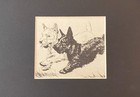 Scotty Westie Terrier  Matted   Framed   Ready To Gift - 1936 Vintage Dog Print