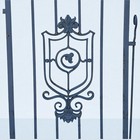 Old Antique Ornate Architectural Wrought Iron Metal Door Gate Salvage Decorative