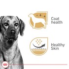 Royal Canin Canine Health Nutrition Adult Dog Wet Food - 13 5 Oz X 12