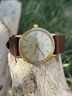 Vintage Omega Seamaster Cal 1020 Automatic Gold Dial Day date 35mm Men s