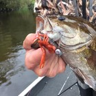 Tackle Hd 4-pk Hi-def Craw Bass Lures  3d Scanned 3  Soft Crawfish Bait  Brown