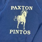 Vintage Made In Usa Blue Crewneck Sweatshirt Size Small Paxton Pintos Graphic