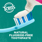 Tom   s Of Maine Antiplaque   Whitening Fluoride Free Toothpaste  Peppermint  2pk