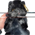 Ty Classic Plush - Licorice The Black Cat  14 Inch  Mwmts Stuffed Animal Toy
