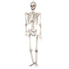 2pack 5 4ft Halloween Skeleton Full Body Life Size Skeleton Bones Movable Joints