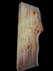 Xl Live Edge Spalted Birdseye Maple  Burlwood Slab Epoxy Wood Spalted Maple Burl