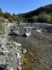 Gold Paydirt 1 2 Lb 100  Unsearched And Guaranteed Added Gold  Panning Nugget