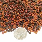 12-type Cichlid Mix Of Floating   Sinking Blackworm   Intense Coloring Gb-1000