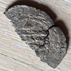 Medieval Islamic Silver Coin Dirham  Arab Caliphate  Abbasid  Samanid 