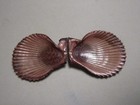 Chlamys Lentiginosa  reeve  1853   scallop Shell     45 0mm 