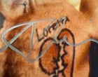Robert De Niro Autographed 11  X 14  Cape Fear Photograph Beckett Bas Coa