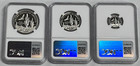 2001 W  100  50  10 Proof Platinum Eagle Ngc Pf70 Ucam Coin Set 1 0  0 5  0 10