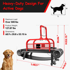 Pet Dog Treadmill Workout Training Machine For Medium   Large Dogs Indoor Use