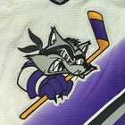 Baltimore Bandits Jersey Mens Large Purple White Ahl Hockey 90s Defunct Minors