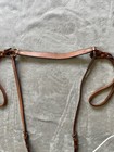 Horse Martingale English Equine Jumping 