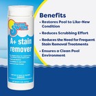 In The Swim A  Pool Stain Remover - 100  Ascorbic Acid - Professional-grade