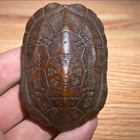 Copper Alloy Tortoise Shell Hexagram For Divination And Blessing Feng Shui