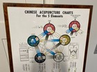 Chinese Acupuncture Charts For The 5 Elements Mounted On Wood - Pre-owned 24x37 