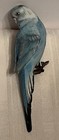 Vintage 1950   s Porcelain Clip On Blue Parakeet Bird Parrot 6 5    Beautiful
