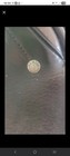 Schleese English Jump Saddle