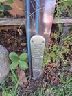 Rare 65  Vintage Vogue Wooden Water Ski Excellent Condition Slalom Ski  W bag