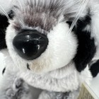 Ganz Webkinz Raccoon Hm143 Plush Stuffed Animal With Sealed Unused Code