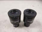 Olympus Japan Pair Of Microscope Eyepieces Whk 10x  20 L