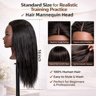Mannequin Head Human Hair 16 Inch  100  Real Human Hair Cosmetology Mannequin He