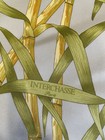 Interchasse Paris Silk Scarf Les Martins-pecheurs Kingfisher Bird France  a2