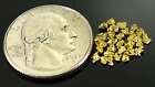 Alaskan Yukon Gold Rush Nuggets 12 Mesh 1 Gram Of Fines