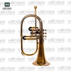 3 Valve Bb Flugelhorn  Brass Finish Mouthpiece   Case 