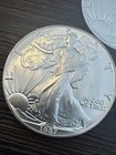 Lot Of 4 -  1 American Silver Eagle 1 Oz - In Case - 1987 1991 1995 1994