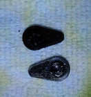 Olympus Om-d E-m1 I  E-m5 Ii  And E-m5 Iii Battery Door Repair Latch Lever X2