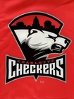 Charlotte Checkers Bench Clearers Hoodie Size Large Men