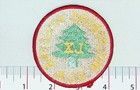 Wolfeboro Pioneers Scout Patch Bsa Lx