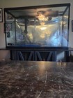 110 Gallon Aquarium Tank  With Stand
