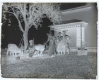 Antique Glass Plate Negative  Time To Feed The Calves