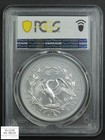 2024 230 Privy Flowing Hair Silver Medal 230 Anniversary First Strike Pcgs Ms 70